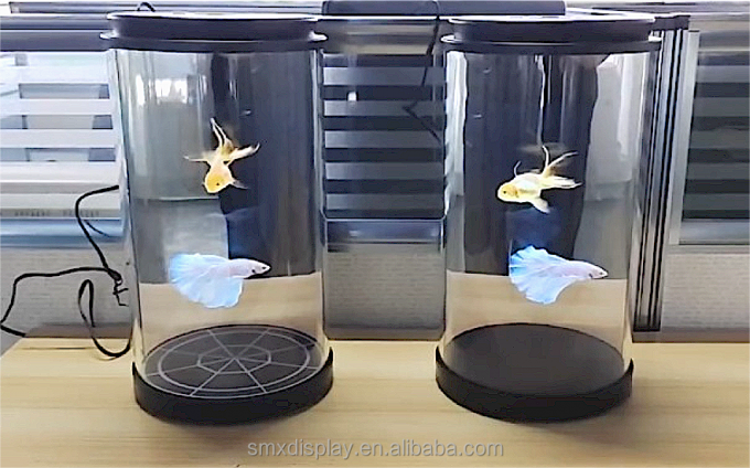 5.5 / 21.5/75inch hologram cylinder กล่อง 3d hologram cylinder ai อินเทรคทีฟ สําหรับการแสดงพิพิธภัณฑ์ 3