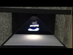 การแสดงโฮโลแกรม