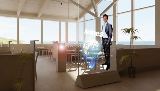 คุณภาพ ฟิล์มฉายภาพด้านหลังแบบโฮโลแกรม 170 ° 100um แบบกาวตนเอง โรงงาน